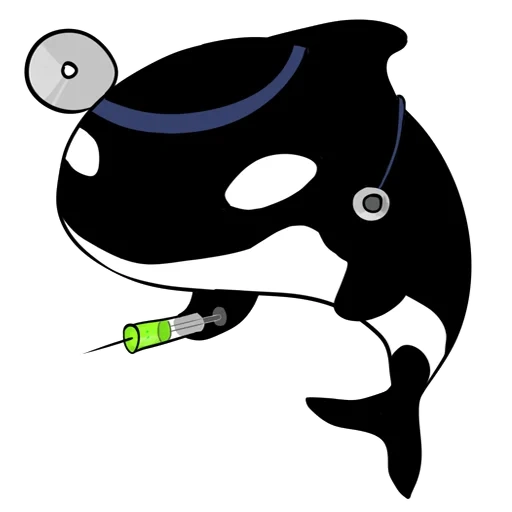 killer whale, killer whale k a, killer whale, killer whale pattern, cartoon killer whale