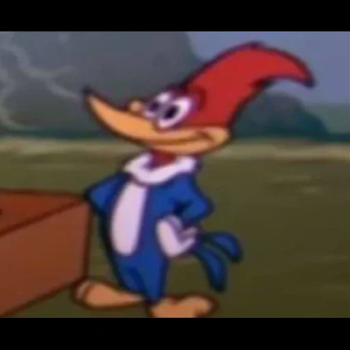 woodwood woody 1999, woodwood woody coyot, woodwood woody pica pau, woody woodpecker 1999, personagens woody woody