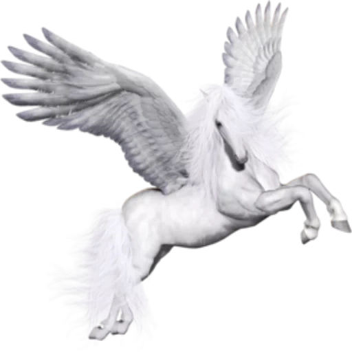 pegaso, el caballo pegas, unicornio a un fondo blanco, pegaso es un fondo transparente, pegasis sin antecedentes de photoshop