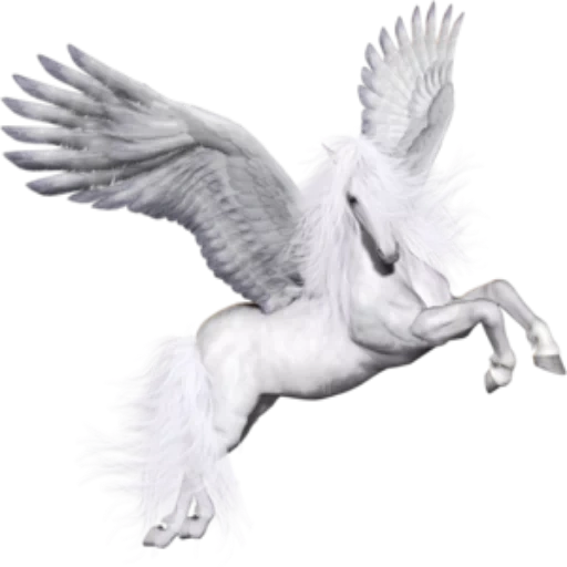 pegasus, pegas kuda, unicorn ke latar belakang putih, pegasus adalah latar belakang yang transparan, pegasis tanpa latar belakang photoshop