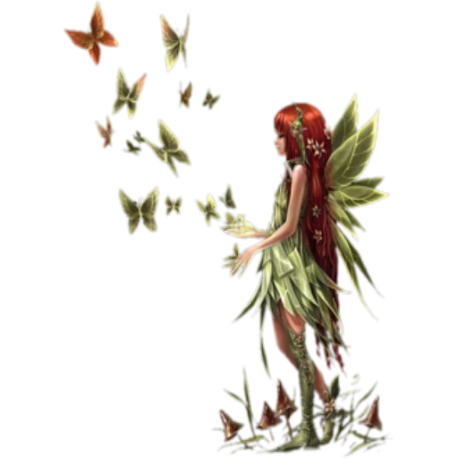 fata, fantasy feii, forest fairy nymph, la fata è uno sfondo trasparente, sfondo trasparente elfi fata