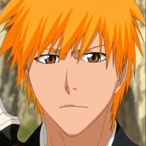 flash, ichigo blic, kurosaki kazuo, anime flash brother, kurosaki ichigo flash