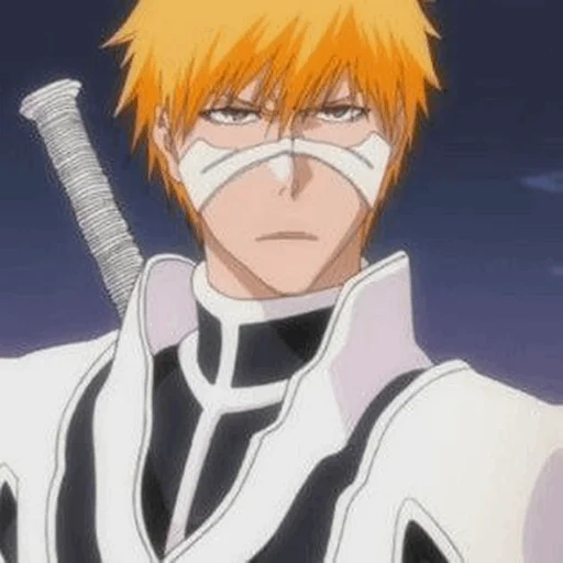 blich, ichigo blich, ichigo arrancar, ichigo kurosaki, ichigo kurosaki fullbinger