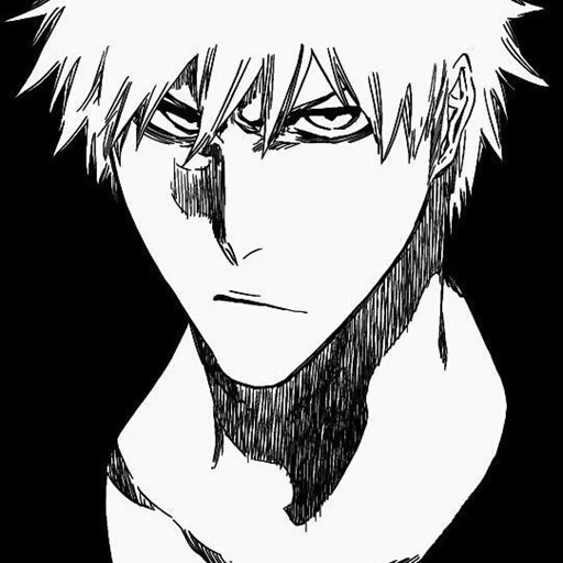 blich, manga blich, di ichigo kurosaki, demone hichigo shirosaki, ichigo kurosaki bianco nero