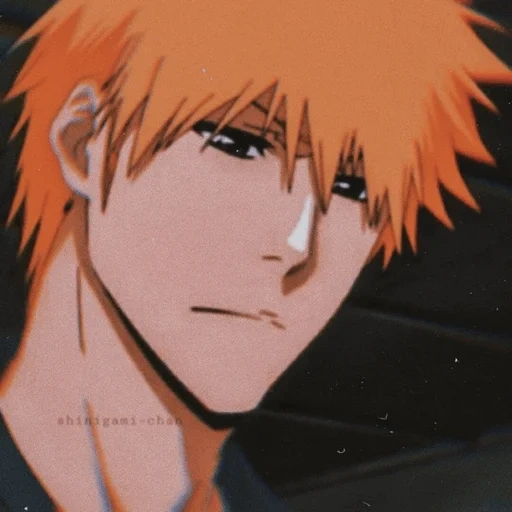 flash, ichigo blic, blitch hichigo, kurosaki kazuo, the flash of kurosaki ichigo