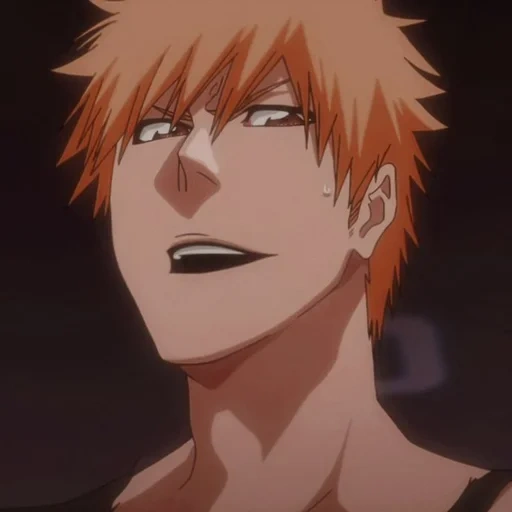 flash, ichigo blic, kurosaki kazuo, one brother's eyes sparkled, the flash of kurosaki ichigo