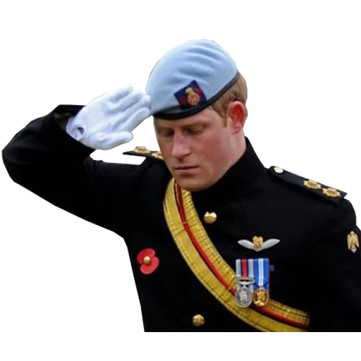 militaire, f pour rendre hommage, forme du prince harry, prince harry wales, appuyez sur f pour rendre le respect
