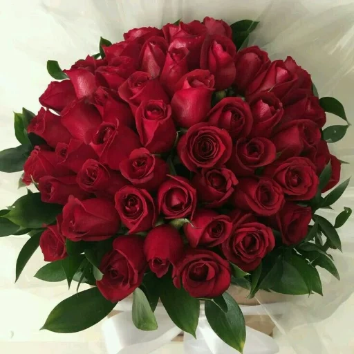 букет красный, шикарный букет, красные розы букет, красивые цветы букеты, шикарный красный букет