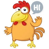Fima the Rooster