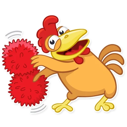 gallo, pollo, galletto, valera rooster, watsap rooster