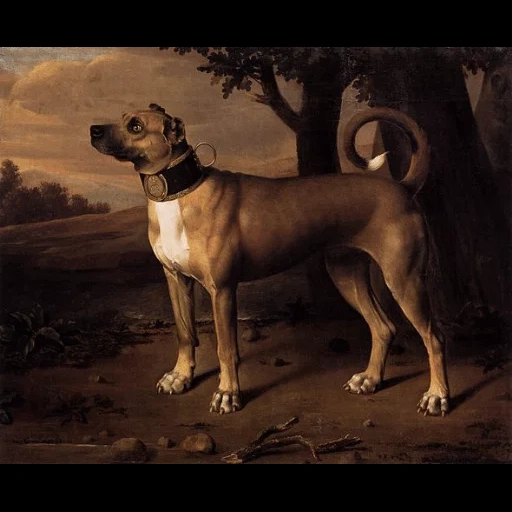 арт, мопс 1880, great dane, мопс 19 век, собака давид