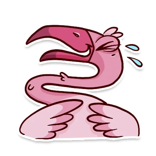 flamant, flamingo ayo, eyo flamingo