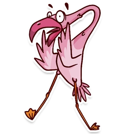 i fenicotteri, flamingo eyo