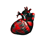 sangre del corazón, corazón humano, el corazón es real, corazón humano, corazón anatómico