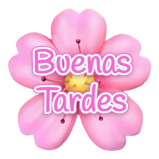 flores, flor de emoji, flor sonriente, flor de emoji, flor sonriente sin fondo