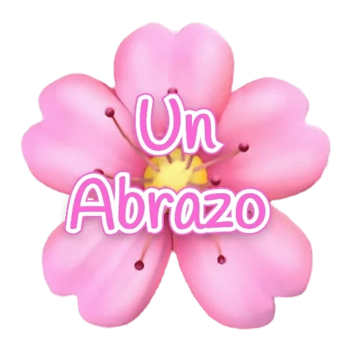 flowers, floret, pink flowers, smiley face flower, expression floret