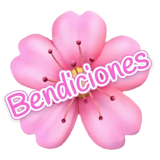 flores, flor, flores rosadas, flor de emoji, flor de emoji