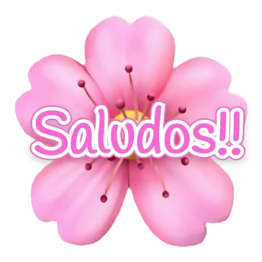 pink flowers, cherry blossom emoji, expression sakura, expression flower, expression floret