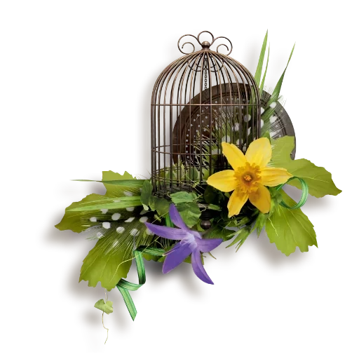 клетка птиц, композиции цветами, клетка декоративная, цветочная композиция, на прозрачном фоне цветы