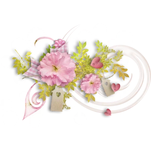цветы прозрачном, разделитель цветов, barnali bagchi фуксия, на прозрачном фоне цветы, без фона красивый декор цветочный
