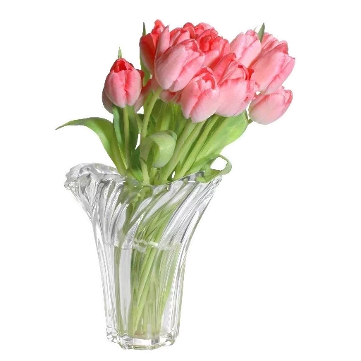 тюльпаны вазе, красочные тюльпаны, букет розовых тюльпанов, тюльпаны прозрачном фоне, прозрачная ваза тюльпанами