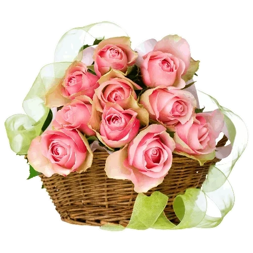 букет роз, розы корзине, розовые розы, букет корзинке, букет розовых роз