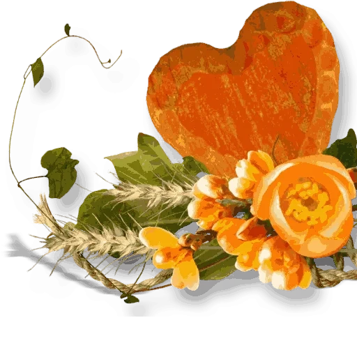 фон цветы, цветы осени, на прозрачном фоне цветы, оранжевые цветы прозрачном фоне, цветы одноклассников прозрачном фоне