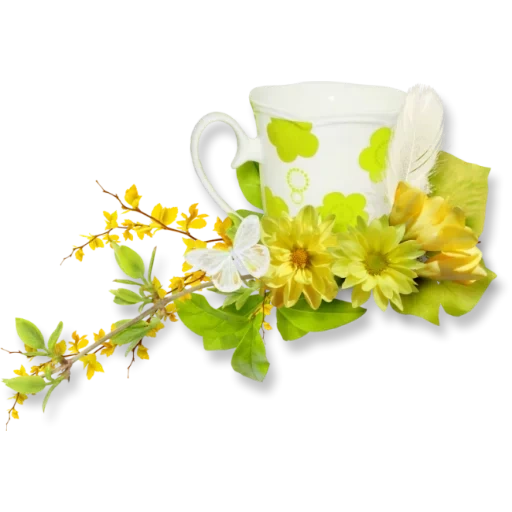 липа чай, чашки цветами липа, липовый чай белом фоне, цветы чашке прозрачном фоне, желтые цветы прозрачном фоне