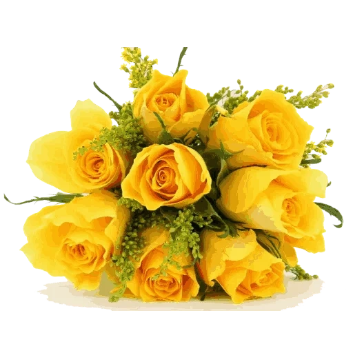 розы желтые, букет желтых роз, желтые цветы букет, букет желтых цветов