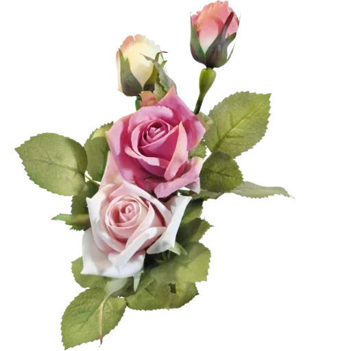 винтажные розы, искусственные цветы, цветы красивые розы, розы прозрачной основе, винтажные цветы фотошопа