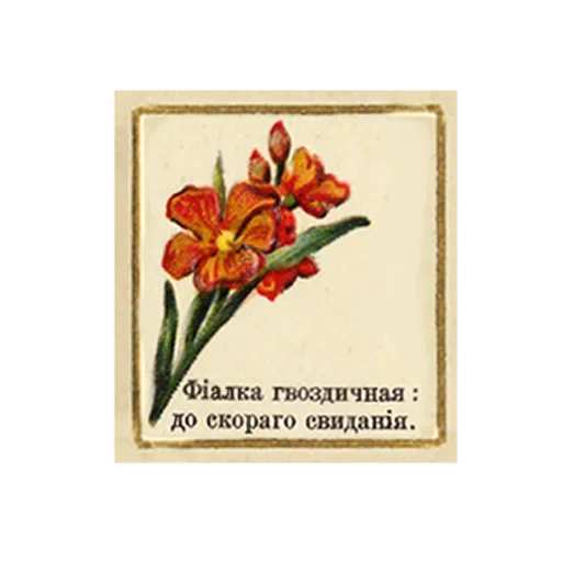 flowers, postcard, flower chart, postcards from the soviet union, soviet signature postcard