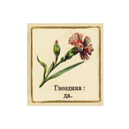 linguagem da flor, etiqueta de fósforo soviético, diagrama de planta, ilustração de flor de planta, planta tóxica de etiqueta de caixa de fósforos soviética