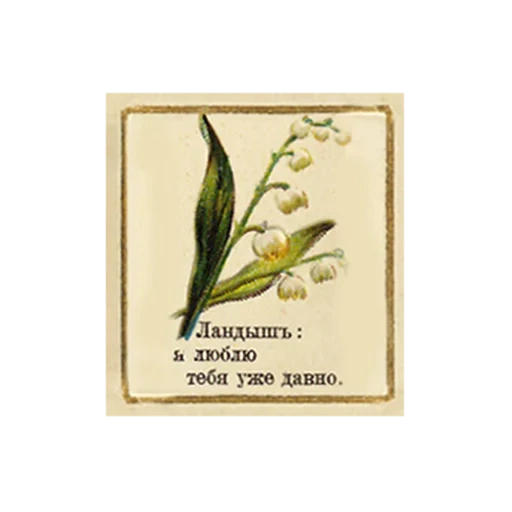 muguet, langue de fleurs, fleurs landysh, landysh maisky, carte postale de landyshi