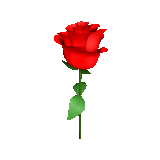 Flowers 2🌷- @MochaStickers