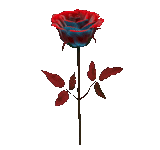 rose verde, black rose roja, tallo rosa, tallos de rosa burdeos, simulación de rosa negra