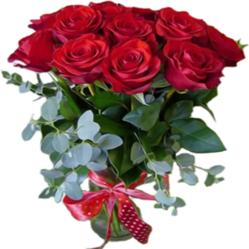 bouquet of roses, book of roses, red roses bouquet, beautiful cards with flowers, the most beautiful cards with flowers