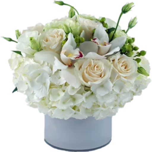 bouquet, white bouquet, bouquet of flowers, eustoma is white, bouquet of 25 white roses avalange