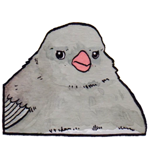 bird mem, the pigeon is a meme, annoyed bird meme, vorobey raven mem, an irritated bird meme