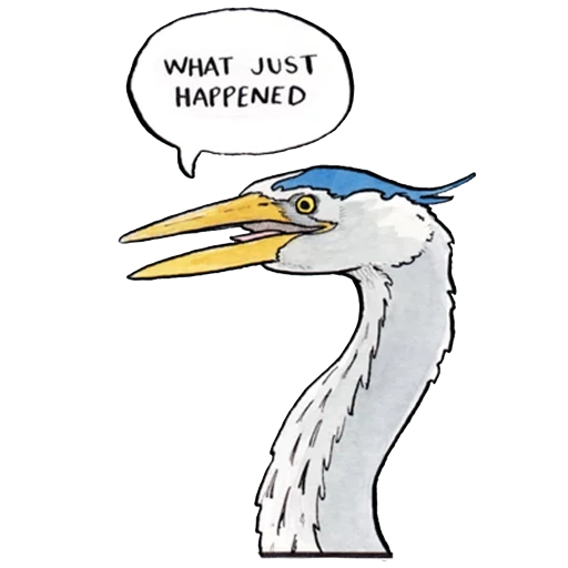 heron, joke, claus bird, gray heron, comics are funny