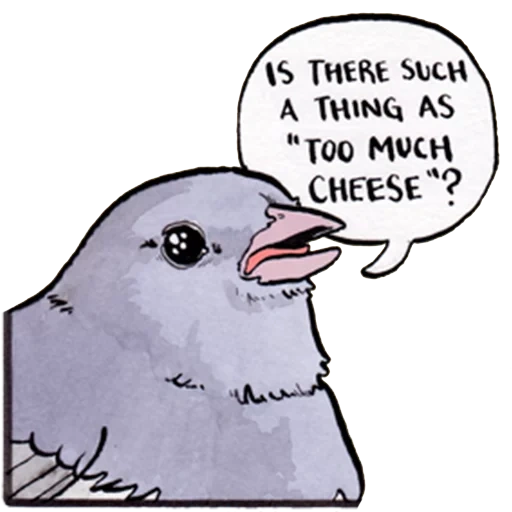 pigeon, bird mem, bird mem, the bird is funny, bird raven mem