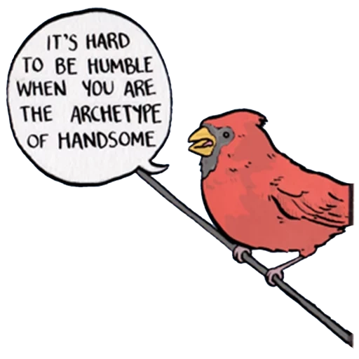 gli uccelli, uccello rosso, l'uccello del cardinale, cardinale uccello ico, uccello cardinale rosso