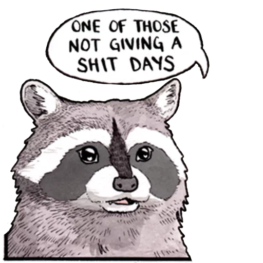 raccoon, henotics, raccoon drawing, raccoon strip