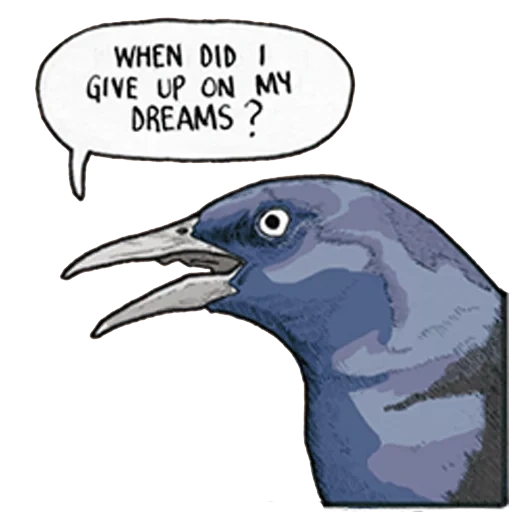 pássaro, dream meme, pássaro corvo, my dreams meme, aves urbanas