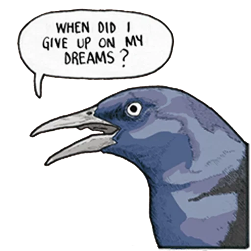 oiseau, dream meme, raven d'oiseau, mes rêves meme, oiseaux de la ville