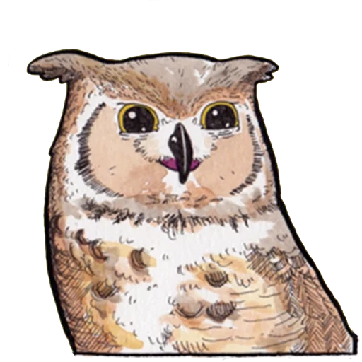 owl, owl owl, owl owl, owl comic, owl or eagle owl