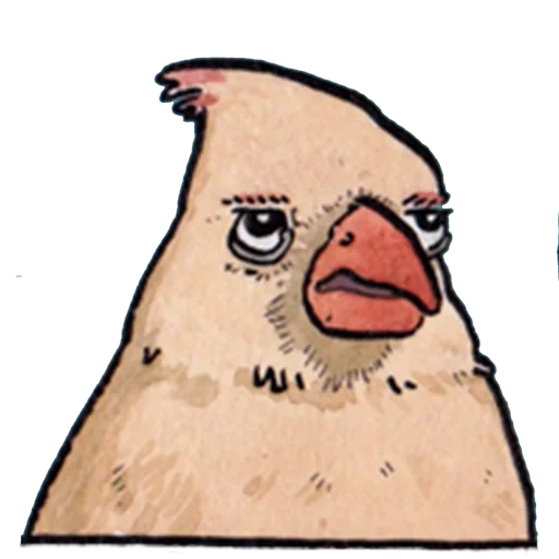 human, bird mem, bird mem, funny jokes, a meme with a cookie cookie