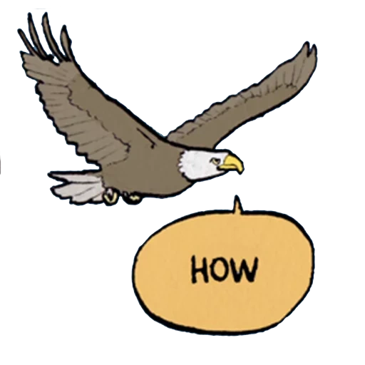 águila, eagle, clip de águila, patrón de águila, cartoon eagle