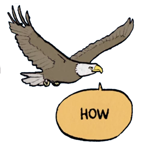 aigle, aigle, eagle clipart, image de l'aigle, aigle de dessins animés