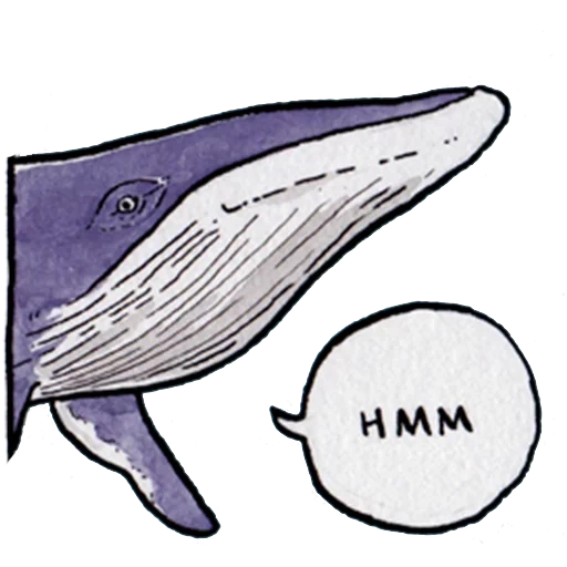 ballena, whale, niño, boceto ballena, ballena blanca