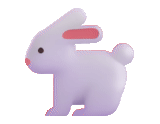 hare rabbit, bunny notturno, il coniglio è bianco, bunny notturno